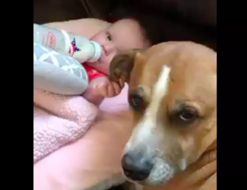 Dog Proves He Is Baby&#8217;s Best Friend [VIDEO]