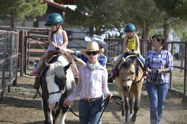 Henderson Area Riding Club Hosting Fun Horse Show this Weekend