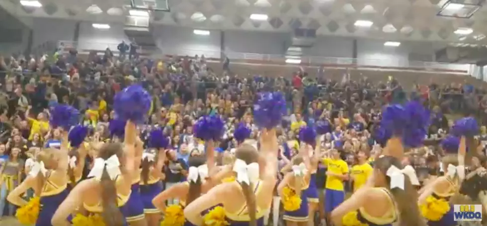 Castle Knights Show Off Their Extreme School Spirit With WEHT and WKDQ [WATCH]