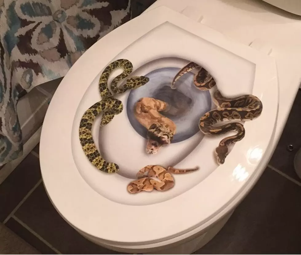 Snakes In The Bathroom Prank [VIDEO]