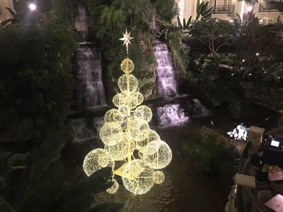 See the Gaylord Opryland Resort&#8217;s Christmas Lights [PHOTOS]