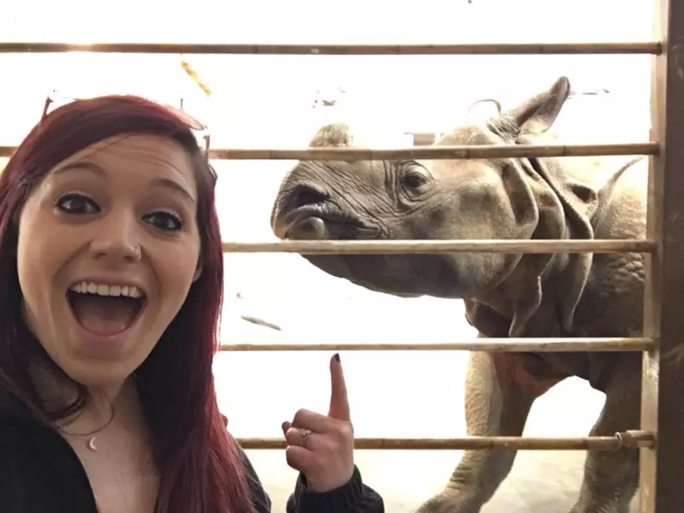 Meet Evansville&#8217;s Cutest New resident, Rupert the Rhino!