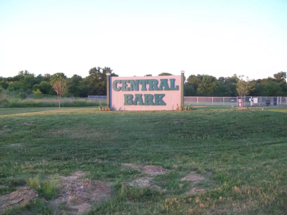 Evansville Dog Park Hosting a Free Day One Day Only!