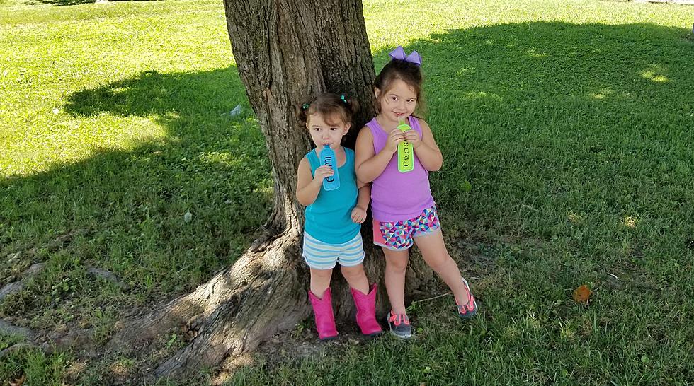 Have You Seen These Freezer Pop Koozies?