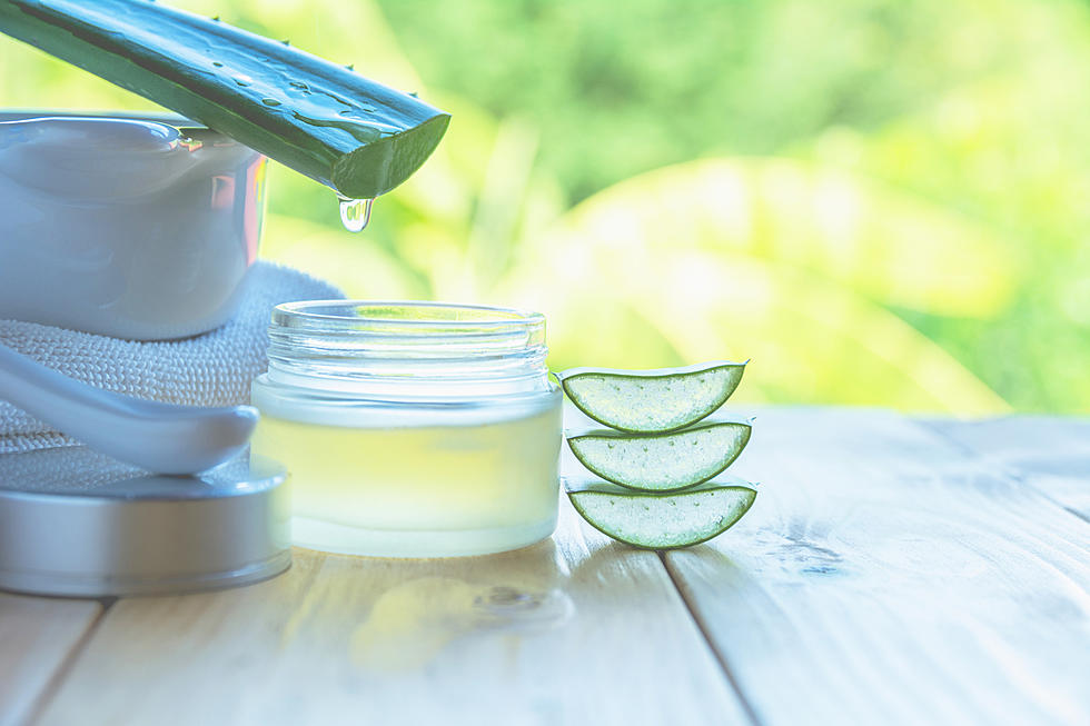 Why You Should Make Aloe Vera A Daily Part of Your Skin and Hair Routine