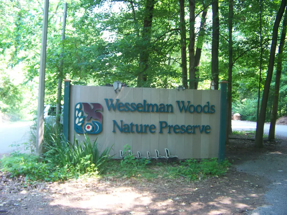 Wesselman Woods Nature Playscape Reopens Today 5/24/19