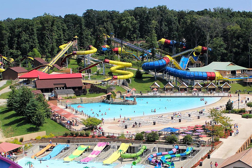 Ready to Have Fun at Work? Holiday World Hosting Open Interviews