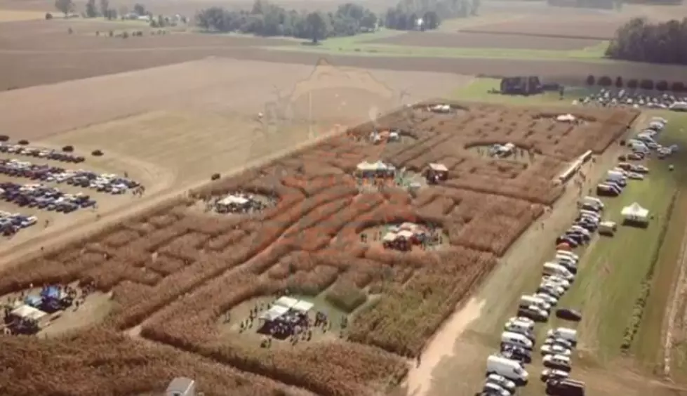 This Corn Maze Beer Fest In Indiana Looks Like A Good Time