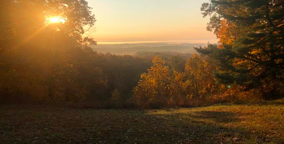 Watch Brown County&#8217;s &#8216;Leaf Cam&#8217; To See Fall Foliage