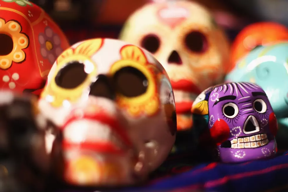 Evansville-Vanderburgh Public Library Hosting Free Day of the Dead Celebration November 5th