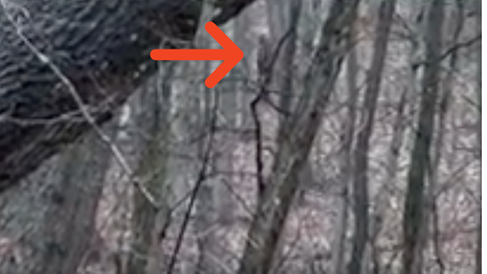 Bigfoot Sighting In Ohio Goes Viral [WATCH]