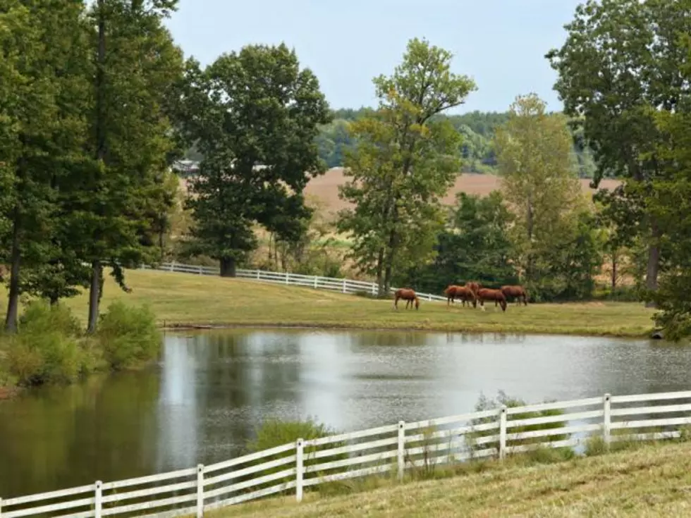 KY Bluegrass Horse Farm On 58 Acres For Sale