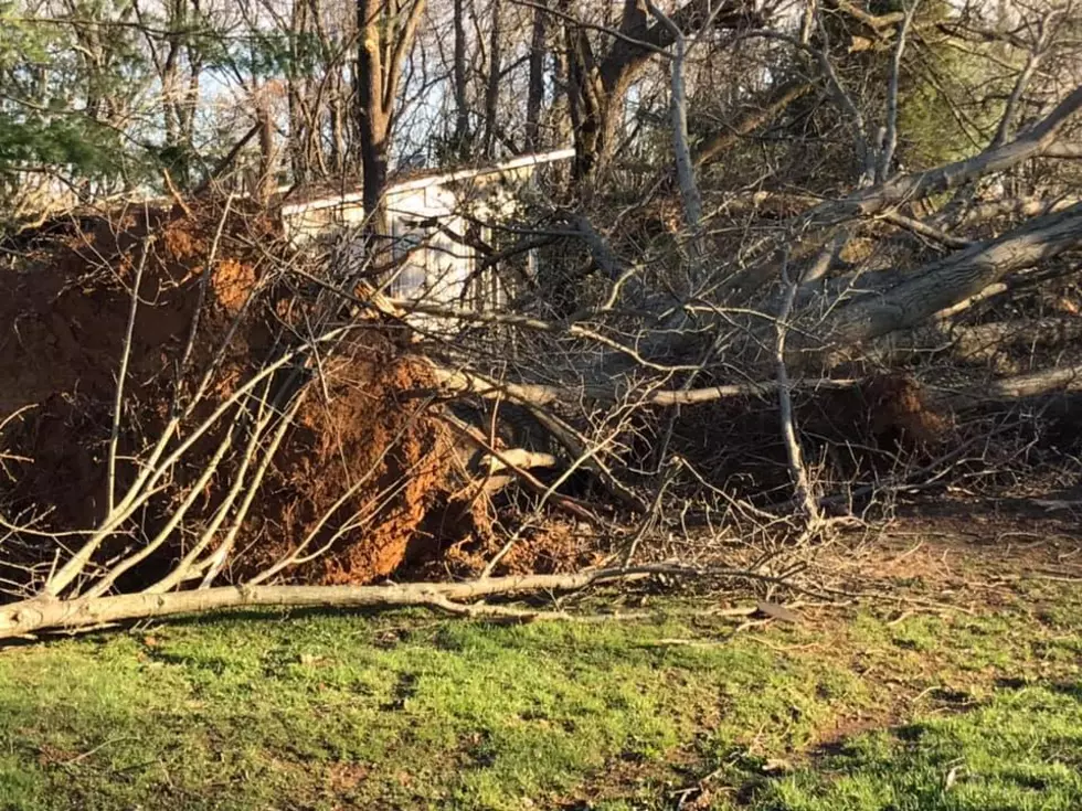 National Weather Service Believes 2 Tornadoes Took Place Saturday