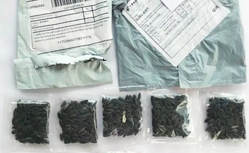 If You Get A Mysterious Package of Seeds From China, DO NOT PLANT