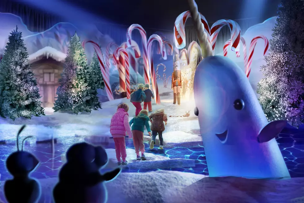 Walk Through Some Of Your Favorite Christmas Movies at Opryland’s New Experience