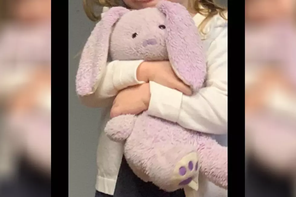 Boonville Family Asking for Help Locating Missing Stuffed Rabbit