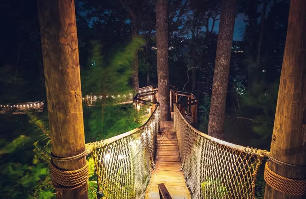 The Longest Tree-Based Skywalk In North America Is In Gatlinburg 