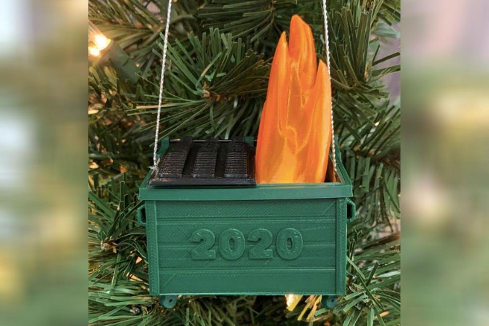 Commemorate Christmas 2020 With A Dumpster Fire Ornament and Other Hilarious Decorations About The Year