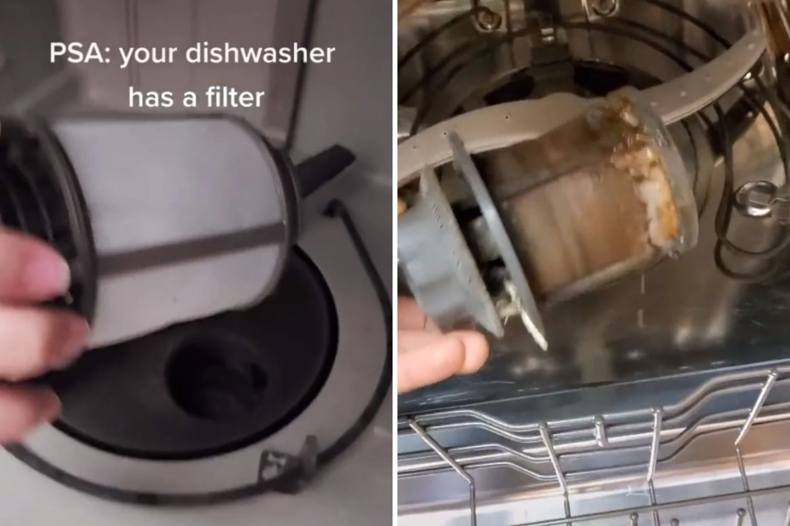 TikTok Discovers Your Dishwasher Has A Filter...And They're Gross