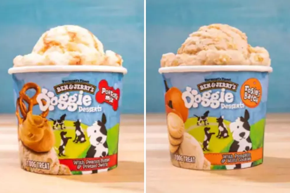 Ben & Jerry’s Is Now Making Ice Cream for Dogs