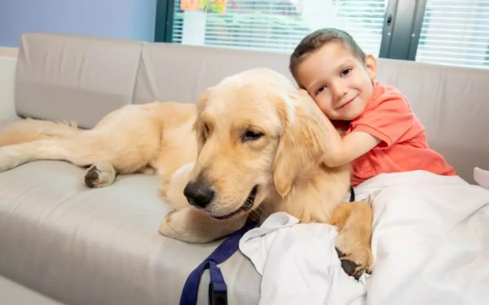 How St. Jude Uses Dogs to Help Comfort Patients During Therapy