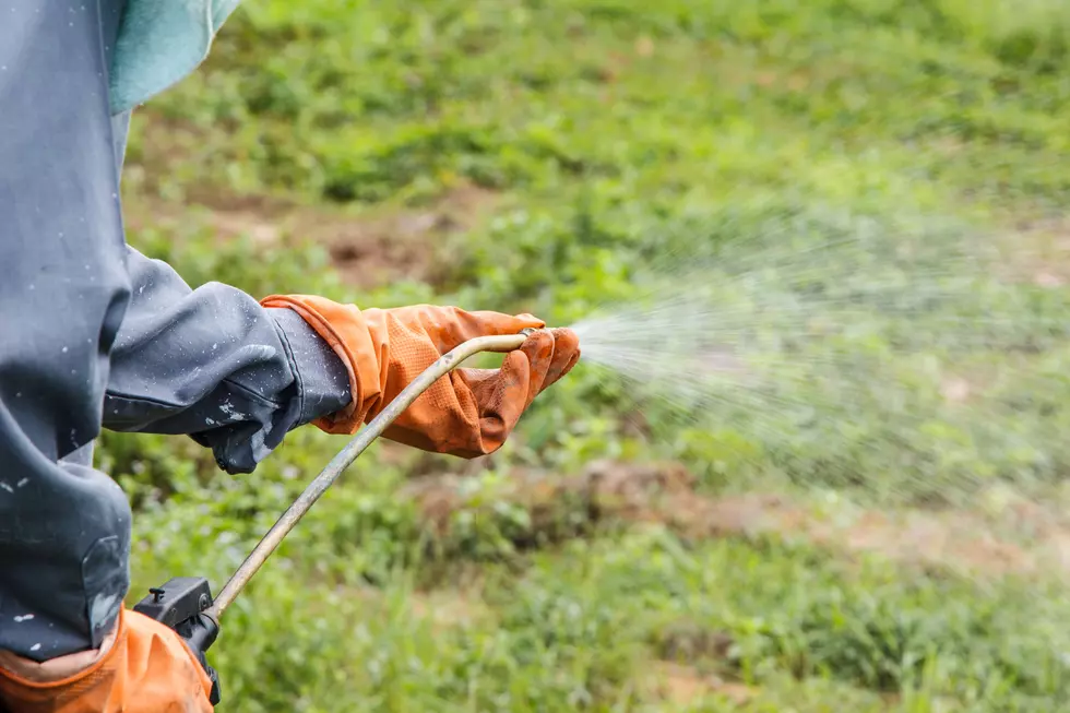 Easy and Safe Way To Get Rid Of Weeds &#8211; Here’s What You Need
