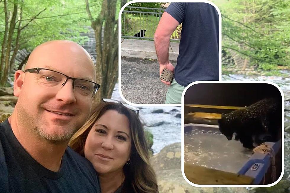 Bear In Gatlinburg Wasn&#8217;t That Impressed With Us, But My Friends Had One Get Into Their Jacuzzi [VIDEOS]