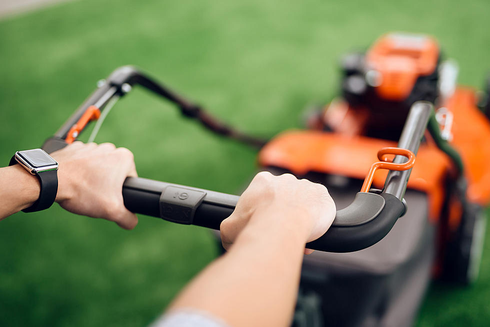 Grass Clippings Left on the Street a Violation of Evansville Code