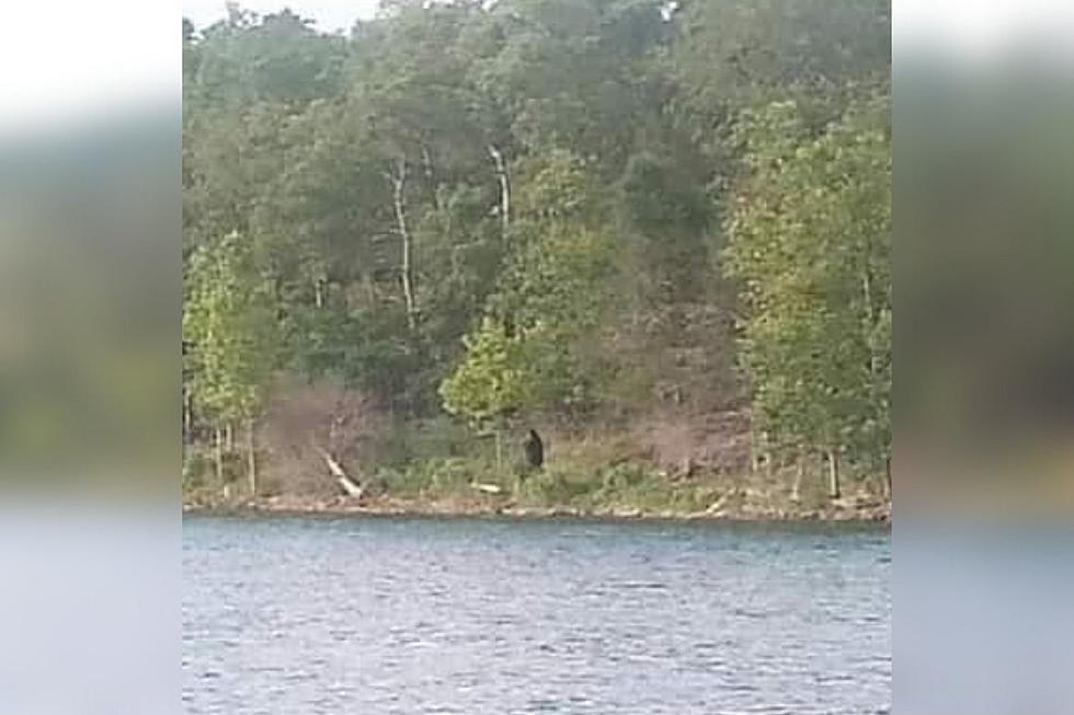 Scary Bigfoot Like Creature Spotted By Lake Cumberland near Somerset, Kentucky