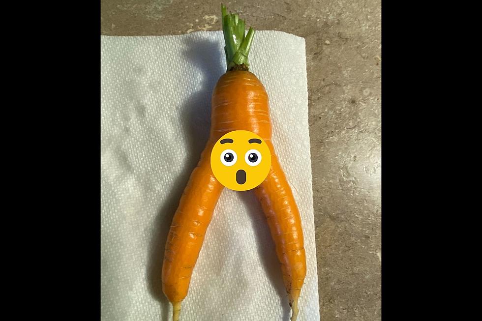 I Accidentally Grew a Not-Safe-For-Work Carrot in My Garden