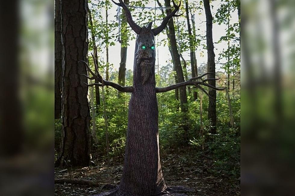Wanna Make Your Trick-or-Treaters Scream? Get One Of These Terrifying Haunted Trees