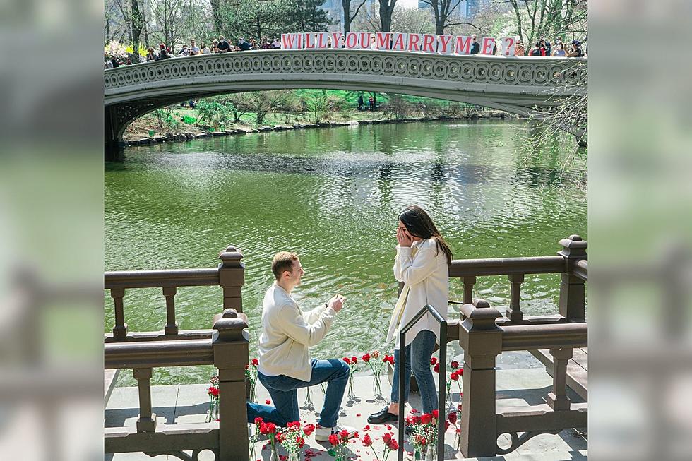 Before You Decide To Have A Public Marriage Proposal, You Might Want To Read This First