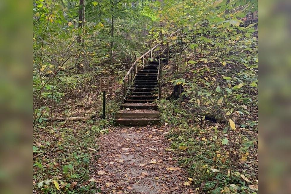 Midwest Man Gets Amazing Sign That Deceased Wife Is With Him On Hiking Trail
