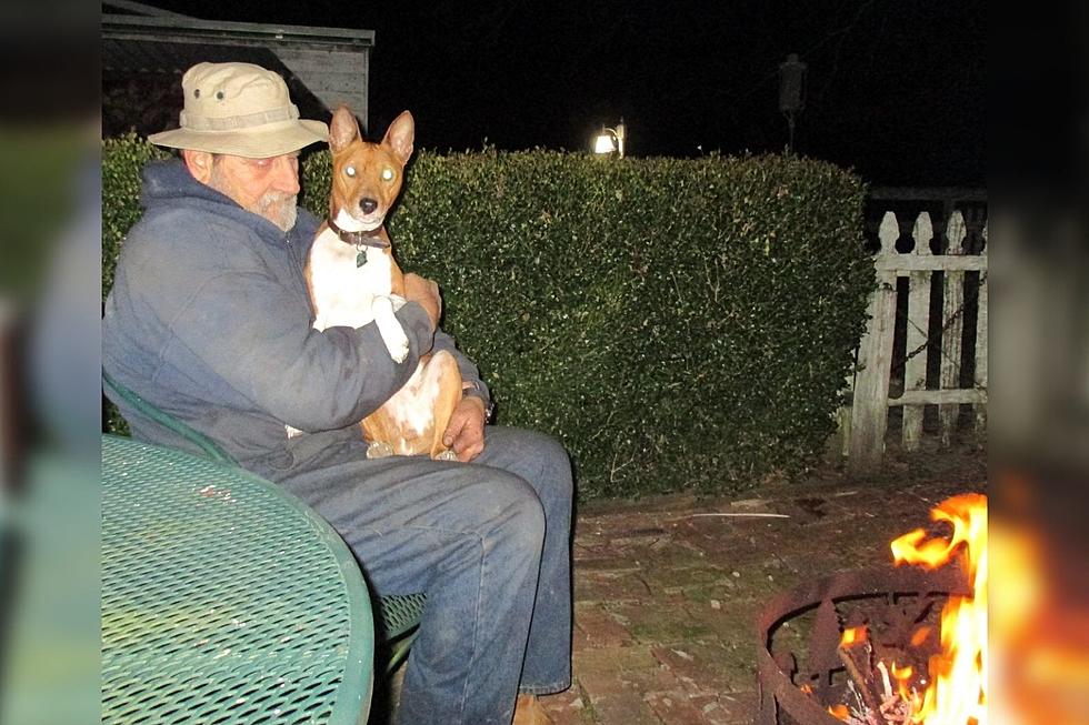 Ghostly Image Of Deceased Kentucky Dog Shows Up In Bonfire Flames