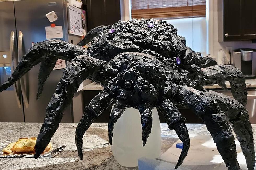 Super Easy DIY Giant Spider Will Up Your Halloween Decorating Game
