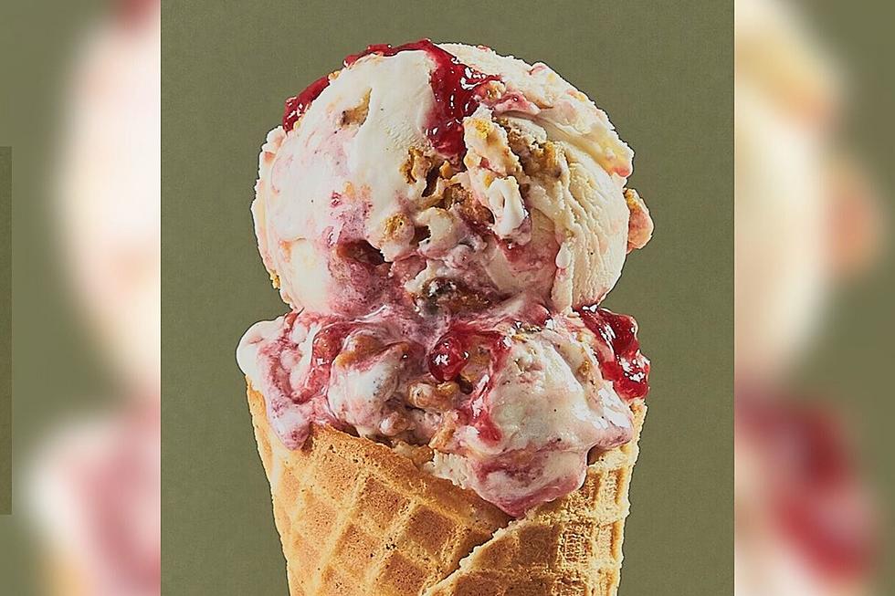 Turkey and Cranberry Ice Cream On Thanksgiving? No…Well, Maybe