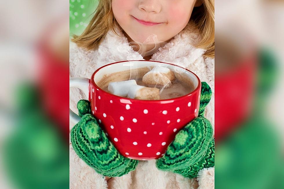 Make Perfect Cup of Hot Chocolate With These Creative Hacks