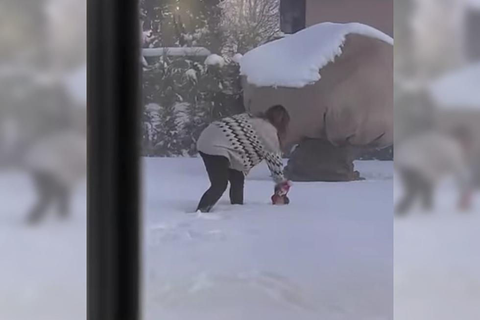 Husband Pranks Wife Using Outdoor Holiday Decoration and It’s Hilarious [VIDEO]