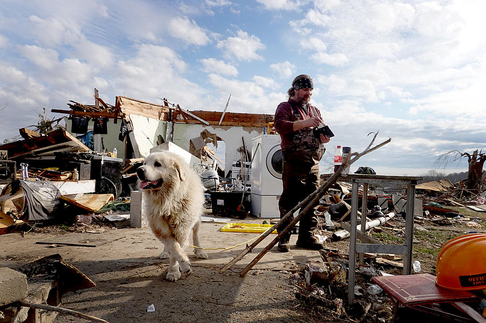 Pet Food Center Collecting Pet Supplies for Animal Shelters Assisting Tornado Victims