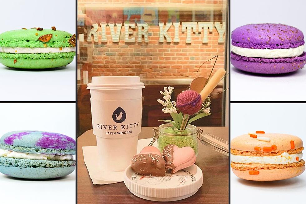 Indiana Cat Cafe Offers Sixteen Different Flavors Of Mouthwatering Macaroons and More – See Them All