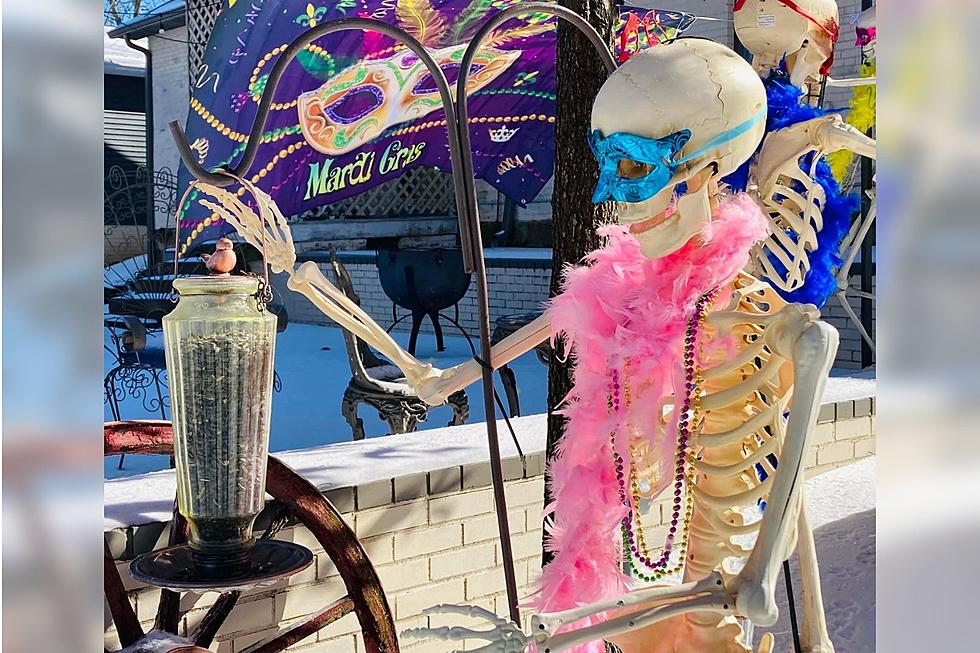 Indiana Home Celebrates Mardi Gras With Fun Skeleton House Parade Yard Display [PHOTOS]