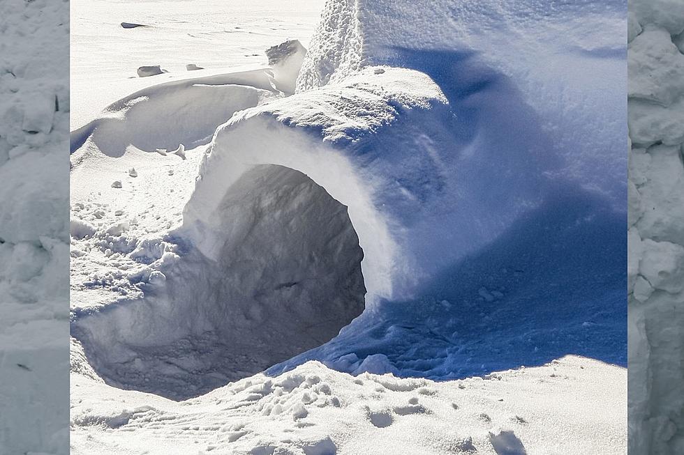 Illinois Man Stuns Neighbors By Building Incredible Igloo In His Front Yard [PHOTOS]