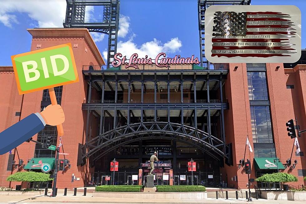 Evansville’s Logan’s Promise Offering Tickets to See Cardinals-Cubs and More in 2022 Online Auction
