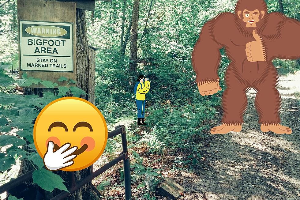 Indiana Birdwatcher Finds Proof Bigfoot May Be Much Larger Than We Thought – See Photo