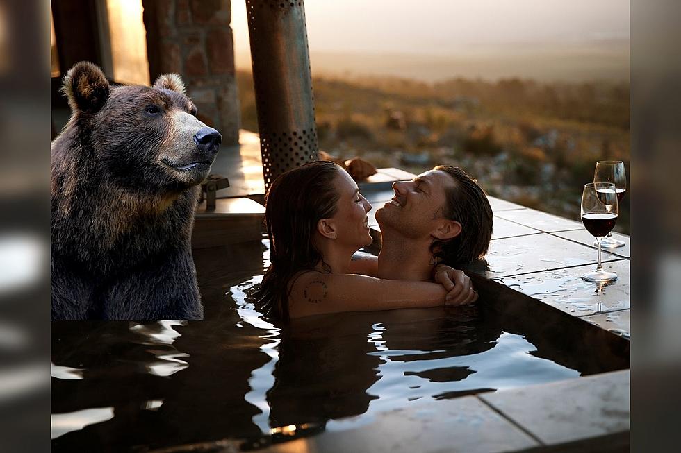 Indiana Couple Enjoys Hot Tub in Gatlinburg, Tennessee Until Bear Tries to Join Them [VIDEO]