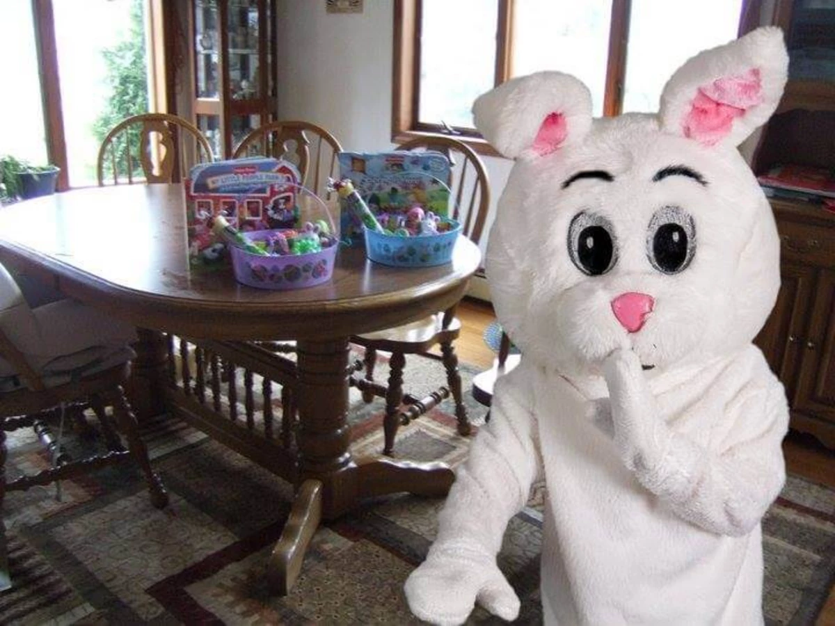 real pictures of the easter bunny