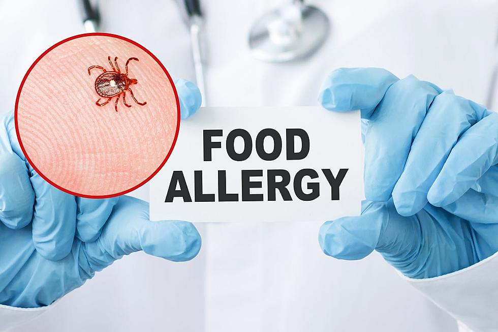 Extreme Food Allergy Possible Following Tick Bite Found In IN