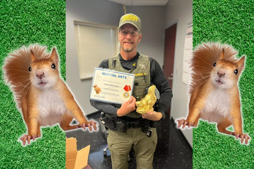 IN Deputy Gets Funny Award After Being Attacked By A Squirrel