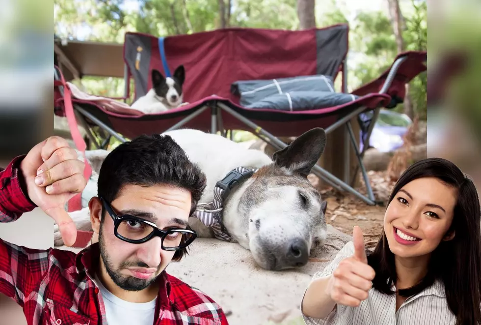 Why Some Dogs Should Go Camping and Some Should Probably Not