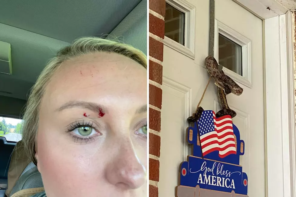 Kentucky Mom Attacked by Snake Lurking Behind Her Door Hanger